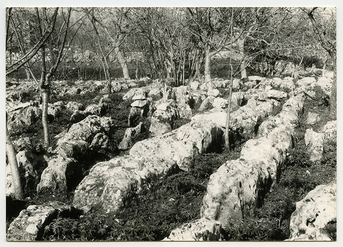Putignano - Rocce affioranti (positivo) di Anonimo (XX)