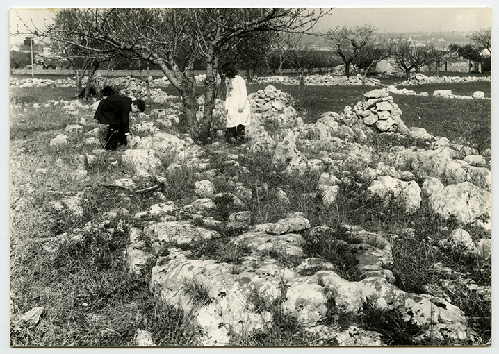 Putignano - Paesaggio - Rocce affioranti (positivo) di Anonimo (XX)