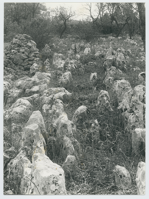 Agro di Polignano - Rocce affioranti (positivo) di Anonimo (XX)