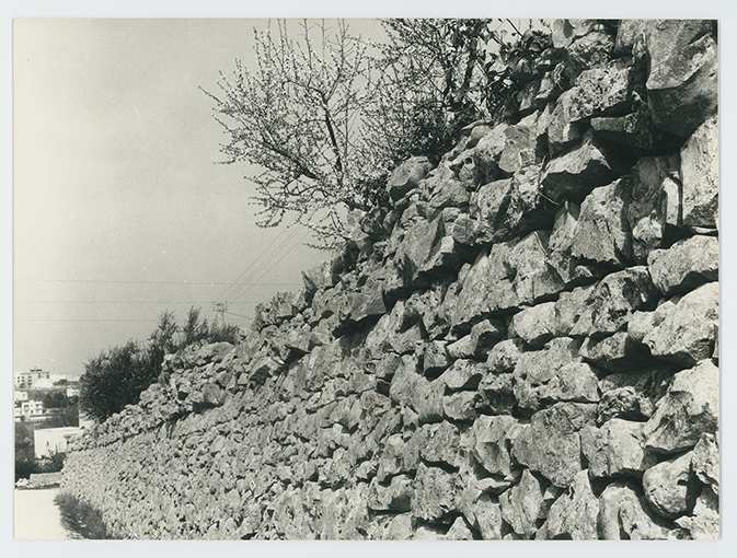 Putignano (?) - Muretto a secco (positivo) di Anonimo (XX)