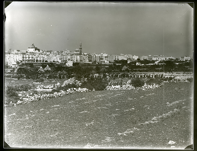 Putignano - Veduta panoramica (positivo) di Anonimo (XX)