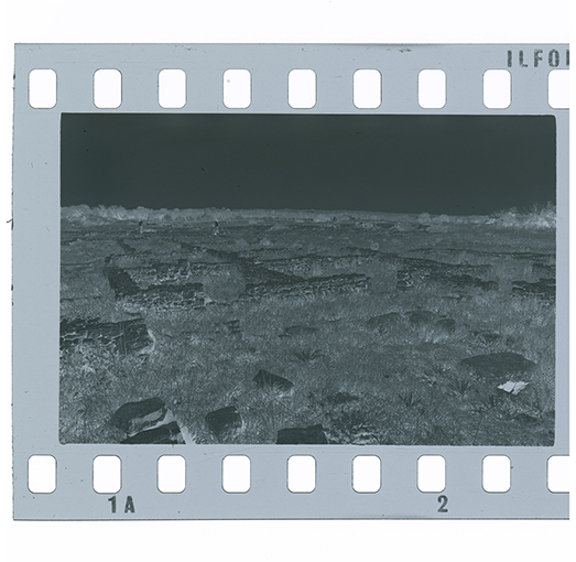 Gioia del Colle - Monte Sannace (negativo) di Anonimo (XX)