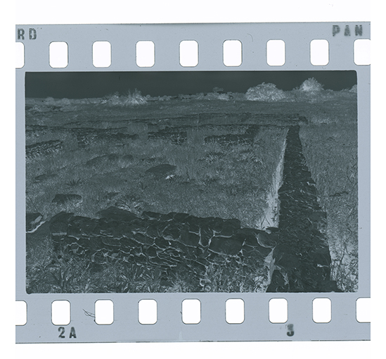 Gioia del Colle - Monte Sannace (negativo) di Anonimo (XX)