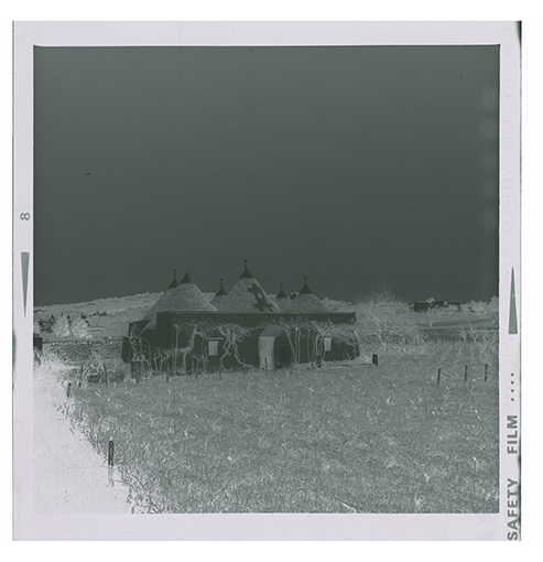 Canale di Pirro - Paesaggio e Trulli (negativo) di Anonimo (XX)