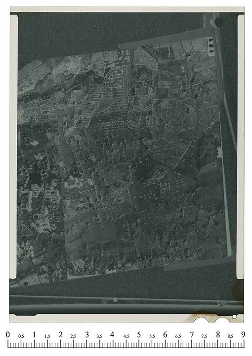 Selva di Fasano - Veduta aerea (negativo) di Anonimo (XX)