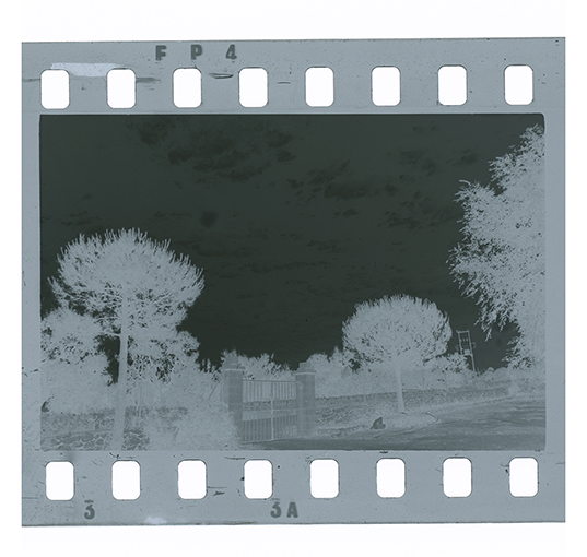 Agro di Putignano - Paesaggio (negativo) di Anonimo (XX)