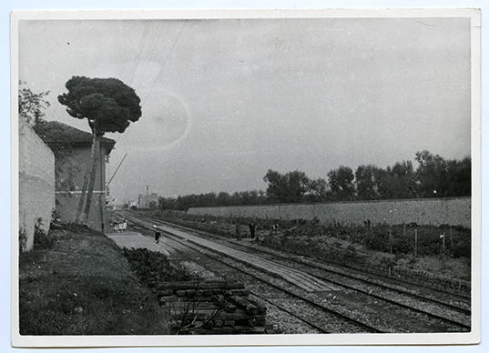 Carbonara (Bari) - Stazione (positivo) di Anonimo (XX)