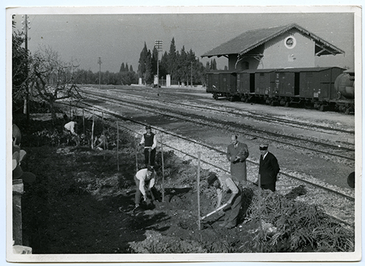 Triggiano - Stazione (positivo) di Anonimo (XX)