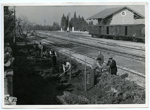 Triggiano - Stazione (positivo) di Anonimo (XX)