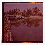 Taranto - La foce del Tara (diapositiva) di Ficarelli, Michele (XX)