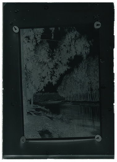 Taranto - Sorgenti del Galeso (negativo) di Anonimo (XX)