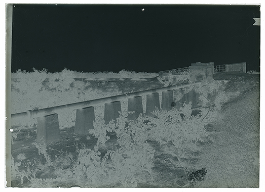 Trinitapoli-Margherita di Savoia (BAT) - Tratto di condotta su pilastrini (negativo) di Anonimo (XX)