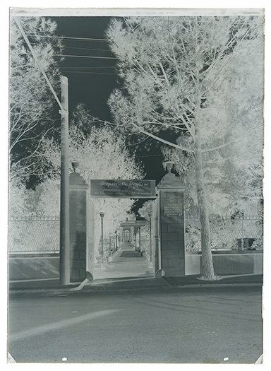 Bari - Scuola in via Benedetto Croce (?) (negativo) di Anonimo (XX)