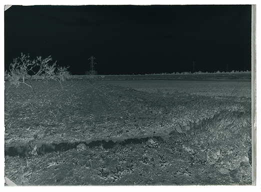 Gioia del Colle (BA) - Panorama zona Monte Sannace (negativo) di Anonimo (XX)