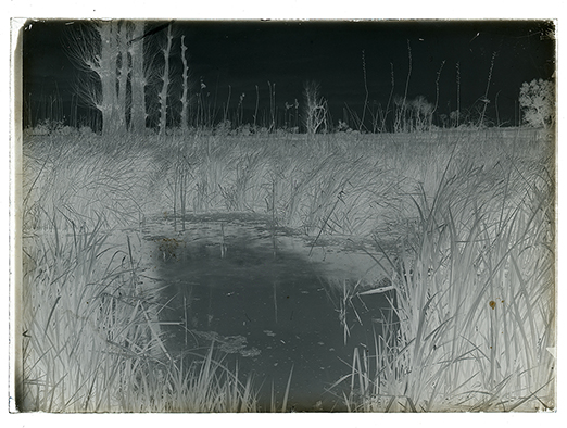 Porcareccia (Ortanova) - Sorgenti del tavoliere (negativo) di Anonimo (XX)