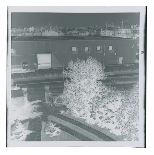 Putignano - Veduta panoramica della città (negativo) di Anonimo (XX)