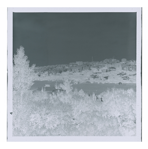 Putignano - Veduta panoramica della città (negativo) di Anonimo (XX)