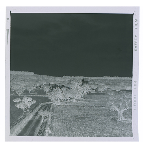 Putignano - Una masseria (negativo) di Anonimo (XX)