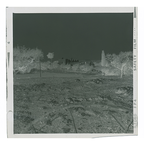 Putignano - Una masseria (negativo) di Anonimo (XX)