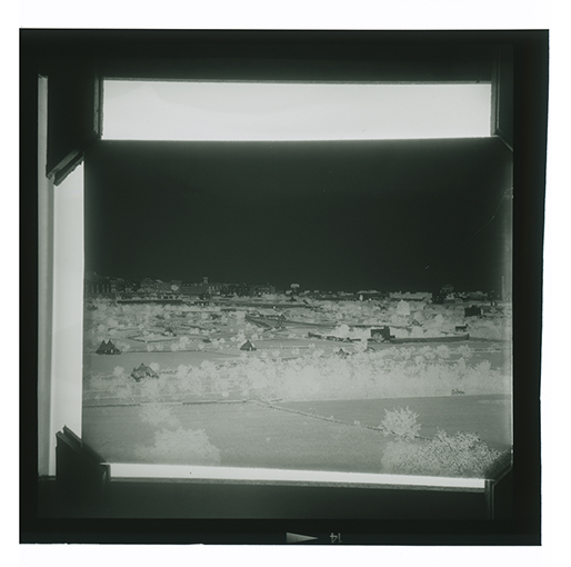 Putignano - Veduta panoramica di Corso Umberto I (negativo) di Anonimo (XX)