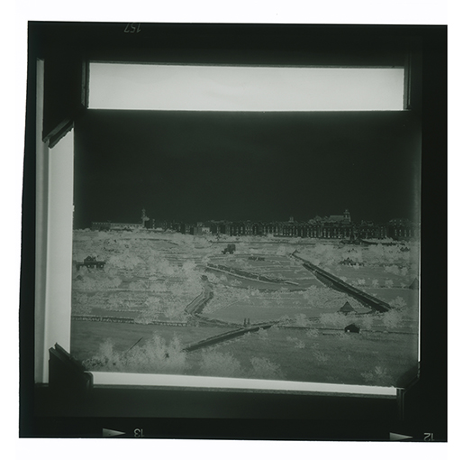 Putignano - Veduta panoramica di Corso Umberto I (negativo) di Anonimo (XX)