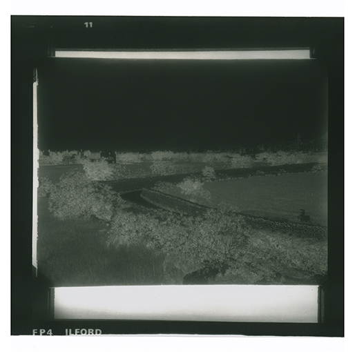 Putignano - Paesaggio (negativo) di Anonimo (XX)