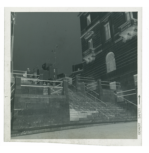 Provincia di Bari - veduta (negativo) di anonimo (XX/ XXI)