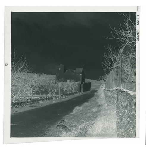 Provincia di Bari - paesaggio (negativo) di anonimo (XX/ XXI)