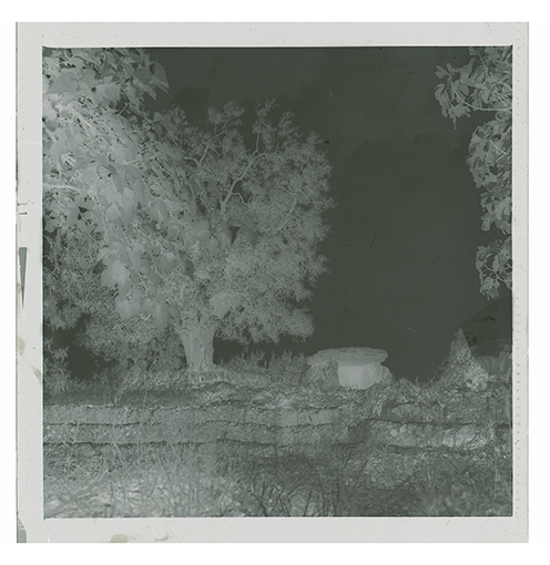 Montalbano di Fasano - veduta (negativo) di anonimo (XX/ XXI)