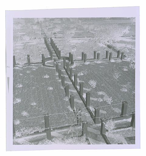 Conversano - veduta (negativo) di anonimo (XX/ XXI)