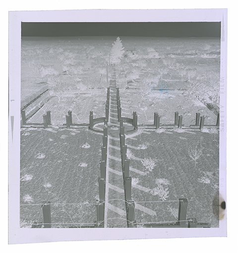 Conversano - veduta (negativo) di anonimo (XX/ XXI)