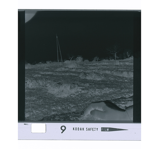 Putignano - paesaggio rurale (negativo) di anonimo (XX/ XXI)