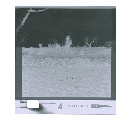 Putignano - paesaggio rurale (negativo) di anonimo (XX/ XXI)