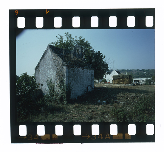 Putignano - paesaggio (diapositiva) di anonimo (XX)