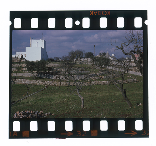 Putignano - paesaggio (diapositiva) di anonimo (ultimo quarto XX)