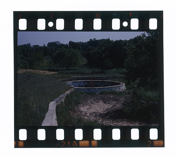 Putignano - paesaggio rurale (diapositiva) di anonimo (ultimo quarto XX)