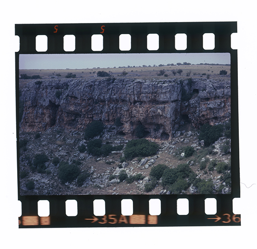 Altamura - paesaggio (diapositiva) di anonimo (ultimo quarto XX)