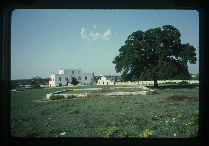 Putignano - paesaggio rurale (diapositiva) di anonimo (XX)