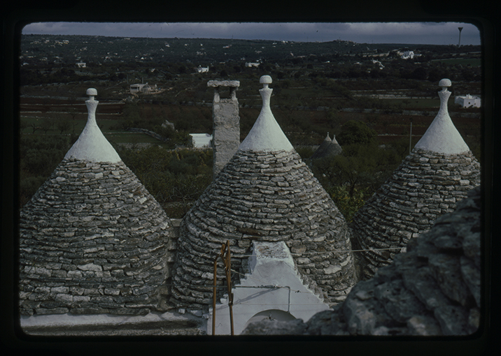 Putignano - paesaggio rurale (diapositiva) di anonimo (XX)