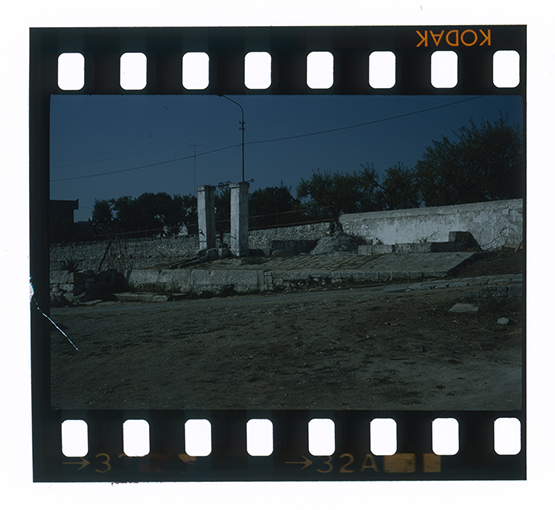 Putignano - paesaggio rurale (diapositiva) di anonimo (ultimo quarto XX)