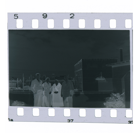 Andria, veduta (negativo) di anonimo (XX)