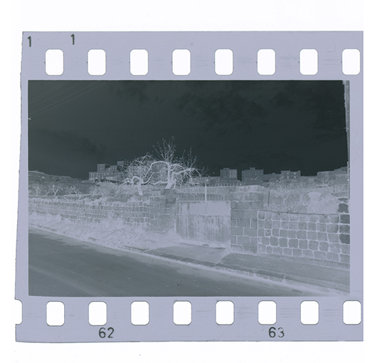 Canosa di Puglia, veduta (negativo) di anonimo (XX)