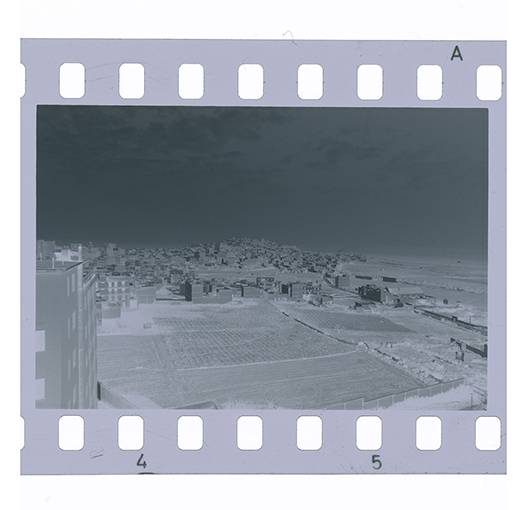 Canosa di Puglia, panoramica (negativo) di anonimo (XX)