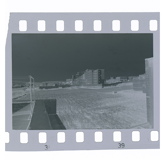 Canosa di Puglia, veduta (negativo) di anonimo (XX)