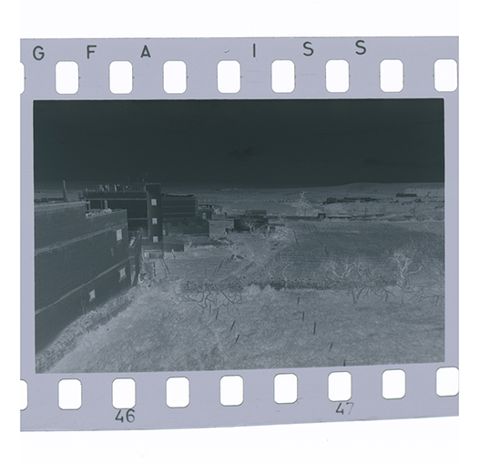 Canosa di Puglia, veduta (negativo) di anonimo (XX)