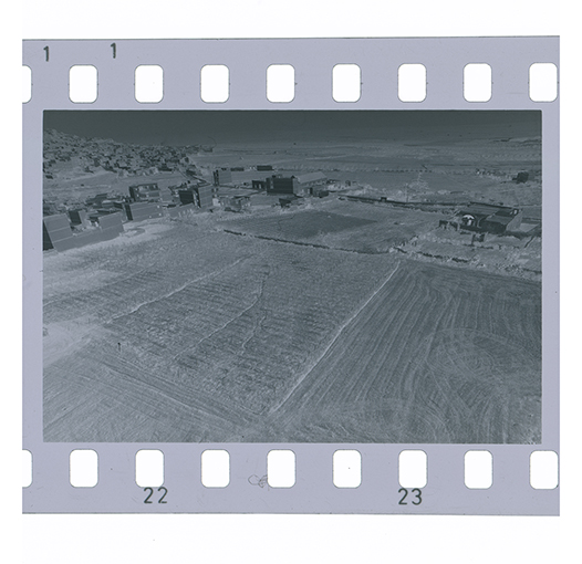 Canosa di Puglia, panoramica (negativo) di anonimo (XX)