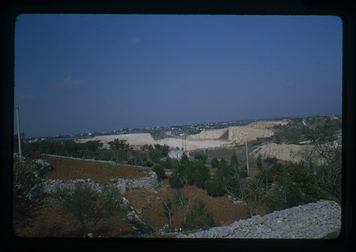 Putignano - paesaggio rurale (diapositiva) di anonimo (XX)