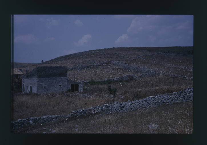 Provincia di Bari - paesaggio rurale (diapositiva) di anonimo (ultimo quarto XX)