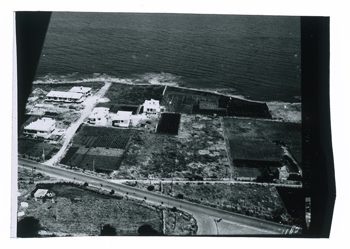 Mola di Bari - veduta aerea (diapositiva) di anonimo (XX)