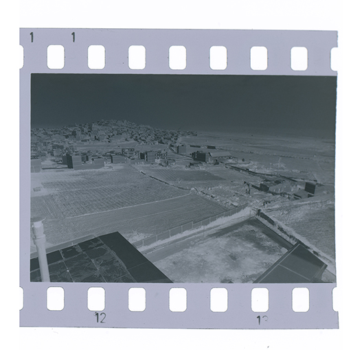 Canosa di Puglia, panoramica (negativo) di anonimo (XX)